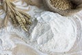 Whole Wheat Flour Royalty Free Stock Photo