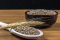 Whole wheat grains in a wooden spoon and a ceramic bowl on a wooden table Royalty Free Stock Photo