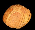 Whole wheat italian bread Royalty Free Stock Photo