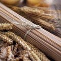 Whole wheat italian pasta with spikes Royalty Free Stock Photo