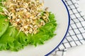 Whole wheat and oats sprouts salad. Organic grains. Raw  vegan  vegetarian healthy food concept Royalty Free Stock Photo
