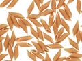 Whole wheat pasta Royalty Free Stock Photo