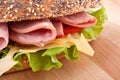 Whole wheat sandwich with lettuce, tomatoes, ham Royalty Free Stock Photo