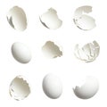 Whole white chicken eggs and broken eggshells arranged on a clean white background Royalty Free Stock Photo
