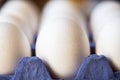 Whole white egg in a carton. Macro photography. Selective focus Royalty Free Stock Photo