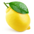 Whole yellow lemon citrus fruit with leaf on white