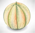 Whole yellow melon