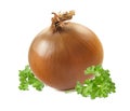 Whole yellow onion parsley on white background