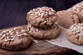 Wholegrain gluten-free buckwheat bread Royalty Free Stock Photo