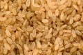 Wholegrain rice