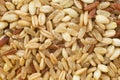 Wholegrain rice with barley and oats Royalty Free Stock Photo