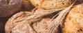 Wholegrain rolls or bread with seeds and ears of rye grain. Vintage photo Royalty Free Stock Photo