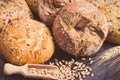 Wholegrain rolls with seeds and ears of rye or wheat grain. Vintage photo Royalty Free Stock Photo