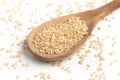 Wholegrains Cateto Rice. Integral Royalty Free Stock Photo