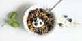 Wholemeal breakfast cereals, blueberries and yogurt. Royalty Free Stock Photo