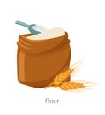 Wholemeal flour flat vector illustration
