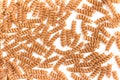 Wholemeal Fusilli. Integral Pasta. Close-up photo