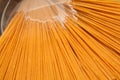 Wholemeal spaghetti Royalty Free Stock Photo