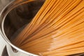 Wholemeal spaghetti Royalty Free Stock Photo