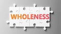 Wholeness complex like a puzzle - pictured as word Wholeness on a puzzle pieces to show that Wholeness can be difficult and needs Royalty Free Stock Photo