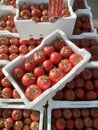 The wholesale tomatoes market Royalty Free Stock Photo