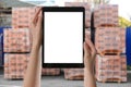 Wholesale trading. Woman using WMS app on tablet at warehouse Royalty Free Stock Photo