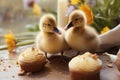 Wholesome Easter ducklings with quail eggs and cupcakes, celebrating joy