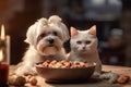 Wholesome feast, Close-up of Maltese dog and cat eating organic food