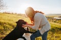 Wholesome Fun Woman& x27;s Playful Time with Domestic Dogs at Sunset