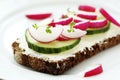 Wholesome sandwich with cheese and garden radish