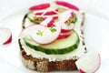 Wholesome sandwich with cheese, garden radish Royalty Free Stock Photo