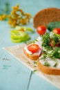 Wholesome sandwich with cheese, garden radish -Healthy Eating Royalty Free Stock Photo