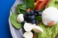 Wholesome tasty full of vitamins and health breakfast with avocado, berries, cheese and tomatoes with basil.