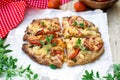 Wholewheat pizza with tomatoes, cheese and herbs