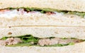 Wholewheat tuna sandwich