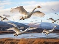 Whooper Flypast Made With Generative AI illustration