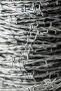 Whorl of barbed wire forming a coil