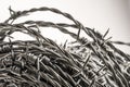 Whorl of barbed wire forming a coil