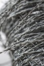 Whorl of barbed wire forming a coil