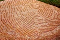 Whorl Marks On Stone