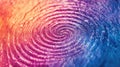 whorl spiraling fingerprint Royalty Free Stock Photo