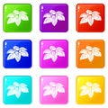 Whortleberries icons set 9 color collection