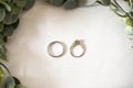 Wedding bands on a white clothe surrounded by leaves Royalty Free Stock Photo