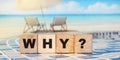 WHY cube blocks arranged on ocean beach background. Education concept Royalty Free Stock Photo
