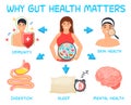 Why gut health matters. Landscape poster. Medical infographic. Royalty Free Stock Photo