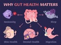 Why gut health matters. Scientific poster with characters.