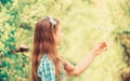 Why people wish on dandelions. Celebrating summer. Dandelion full symbolism. Folklore beliefs about dandelion. Having