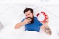 Why you suffering in mornings. Get up with alarm clock. Waking up early. Man bearded sleepy face bed with alarm clock in