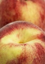 Whyte Peach, persica vulgaris, Close up of Fruit