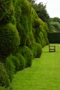 Wibbly Wobbly Hedge, Montacute House,Somerset, England Royalty Free Stock Photo